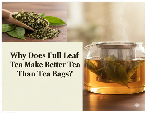 Why Does Full Leaf Tea Make Better Tea Than Tea Bags?